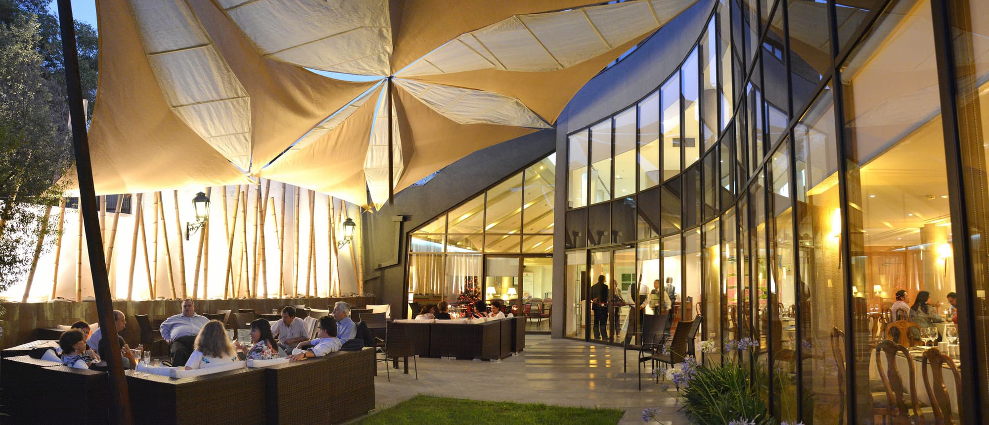 Director Vitacura, Terrace