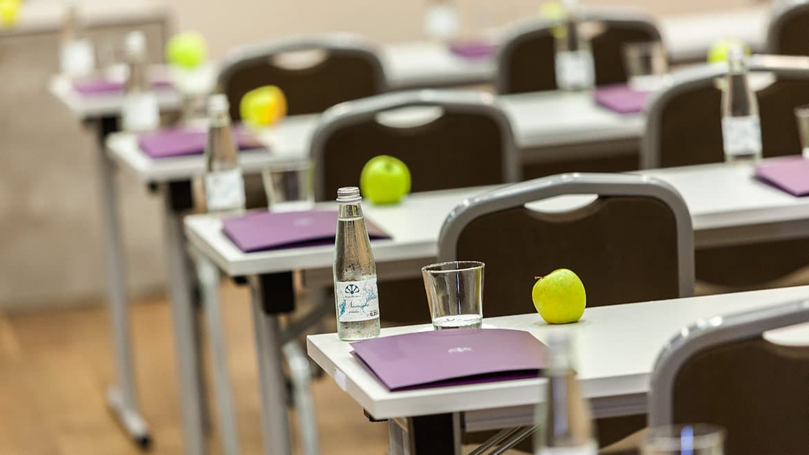 Wellness hotel Sotelia, Conferences