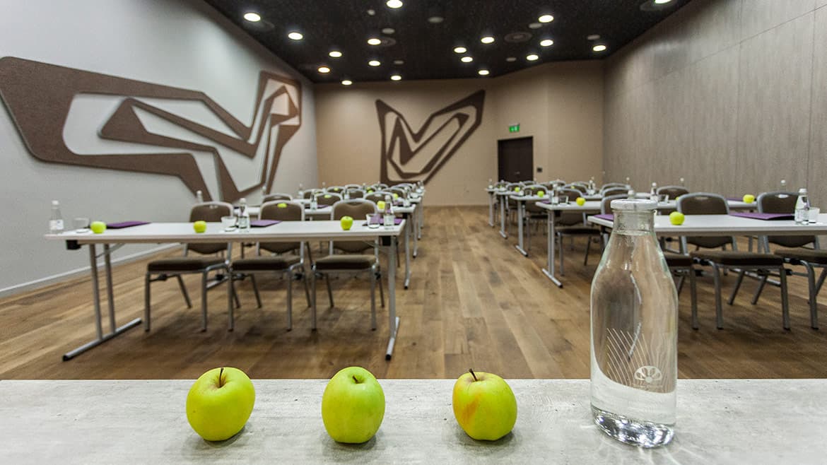 Wellness hotel Sotelia, Conferences