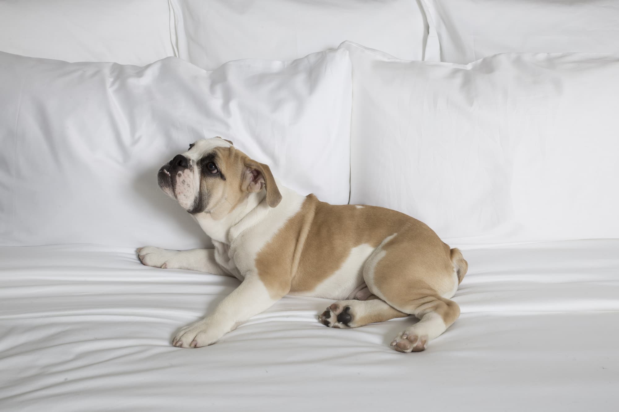 HGU New York Hotel, Room