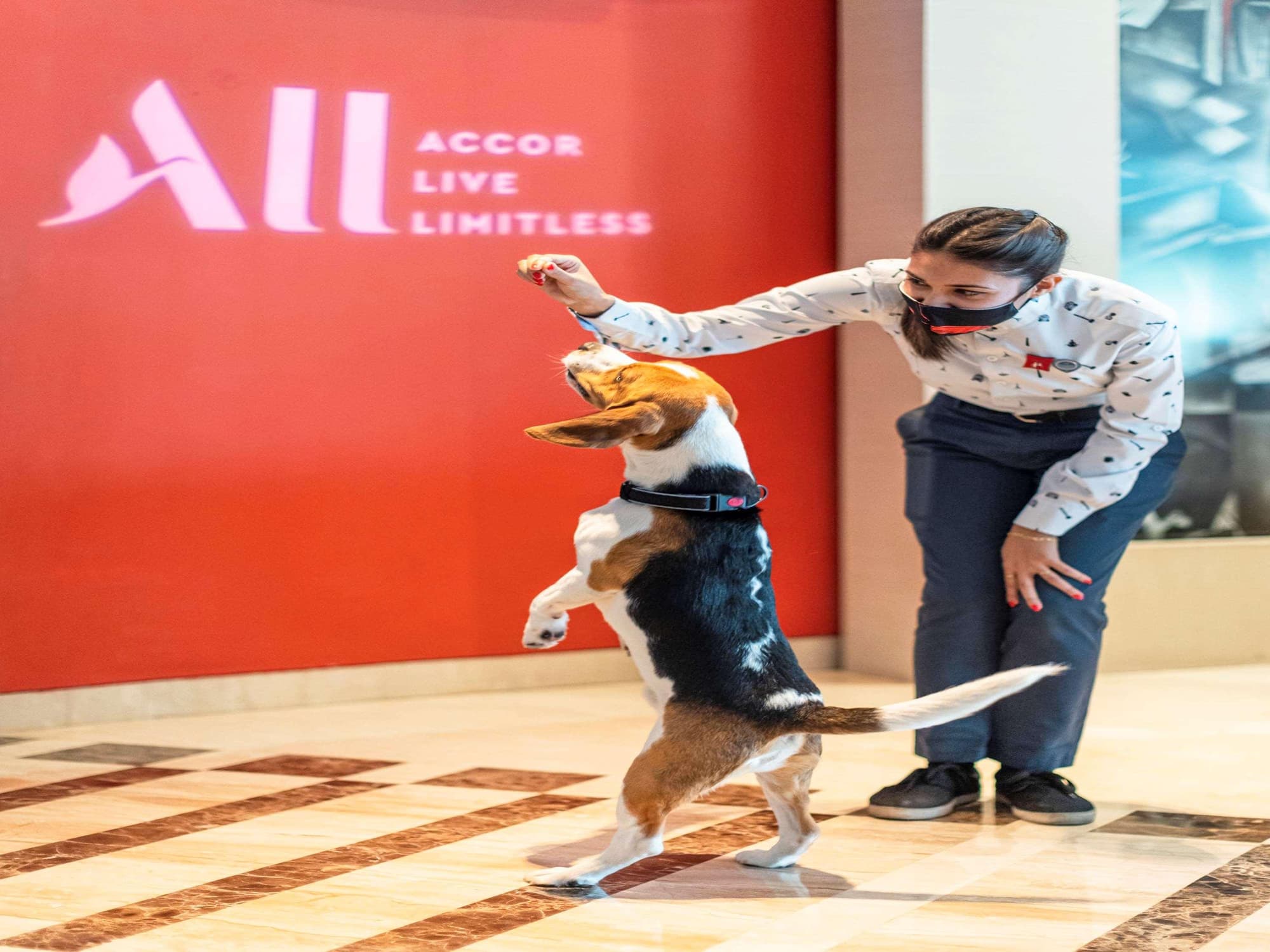 ibis New Delhi Aerocity, General view