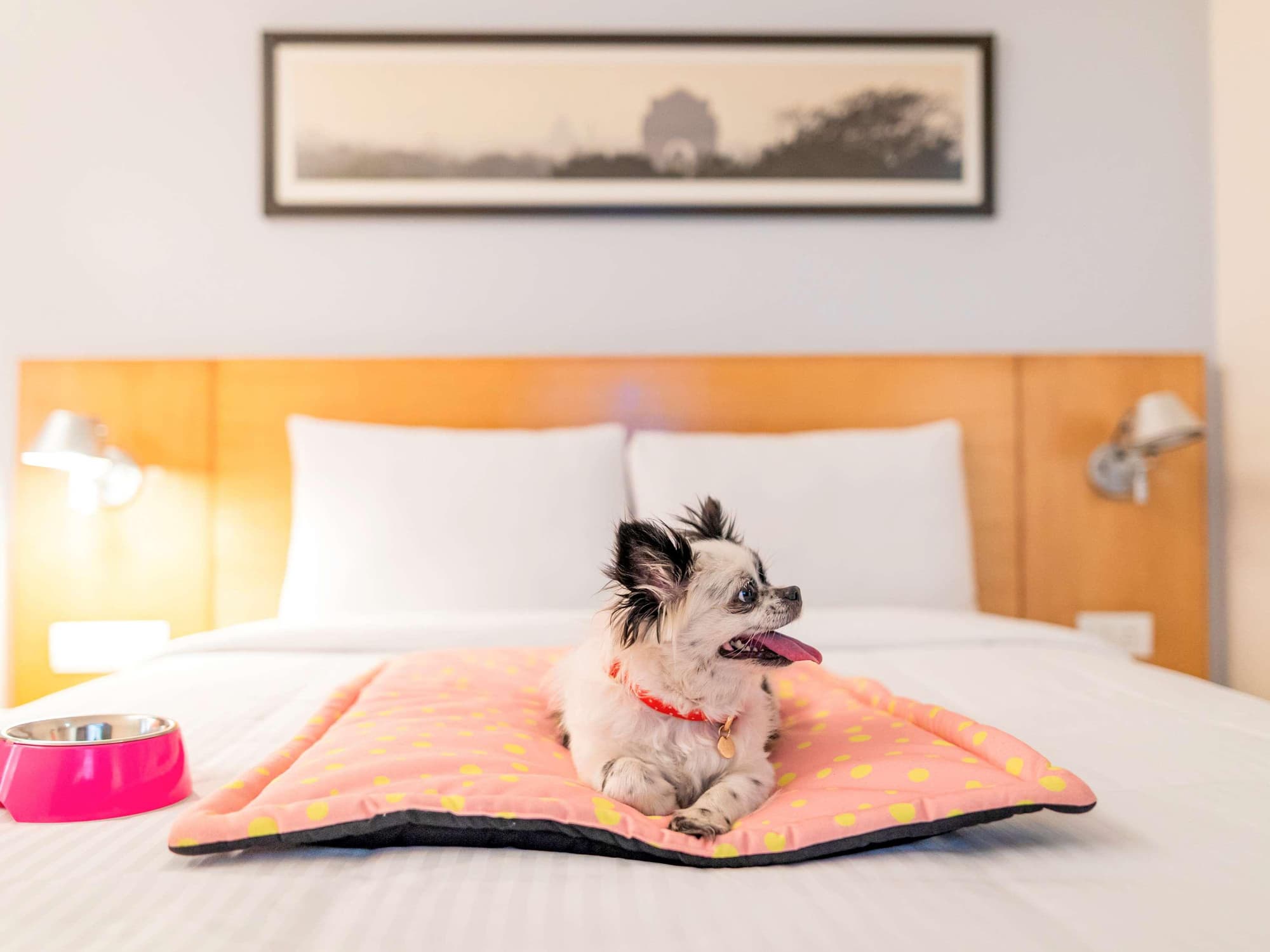 ibis New Delhi Aerocity, General view