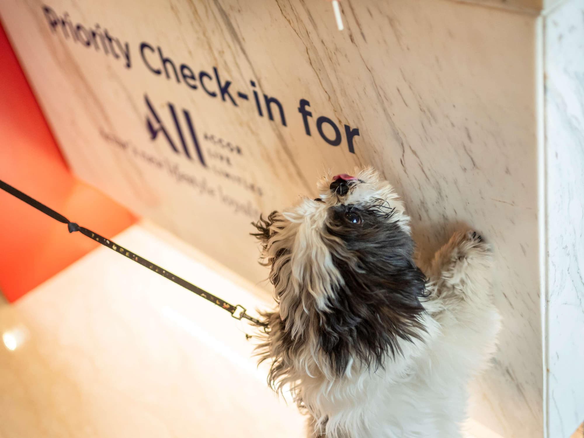 ibis New Delhi Aerocity, General view