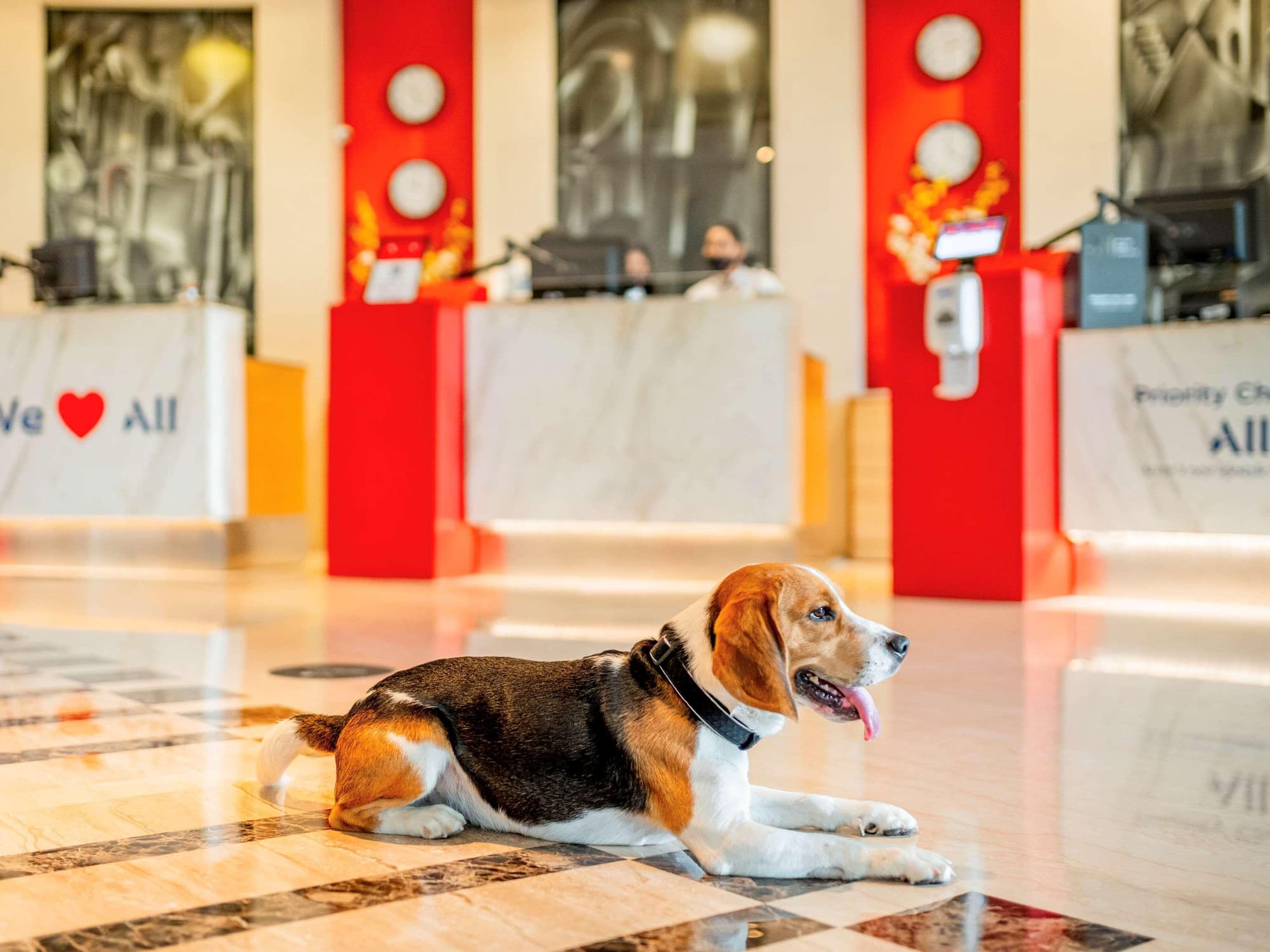 ibis New Delhi Aerocity, General view