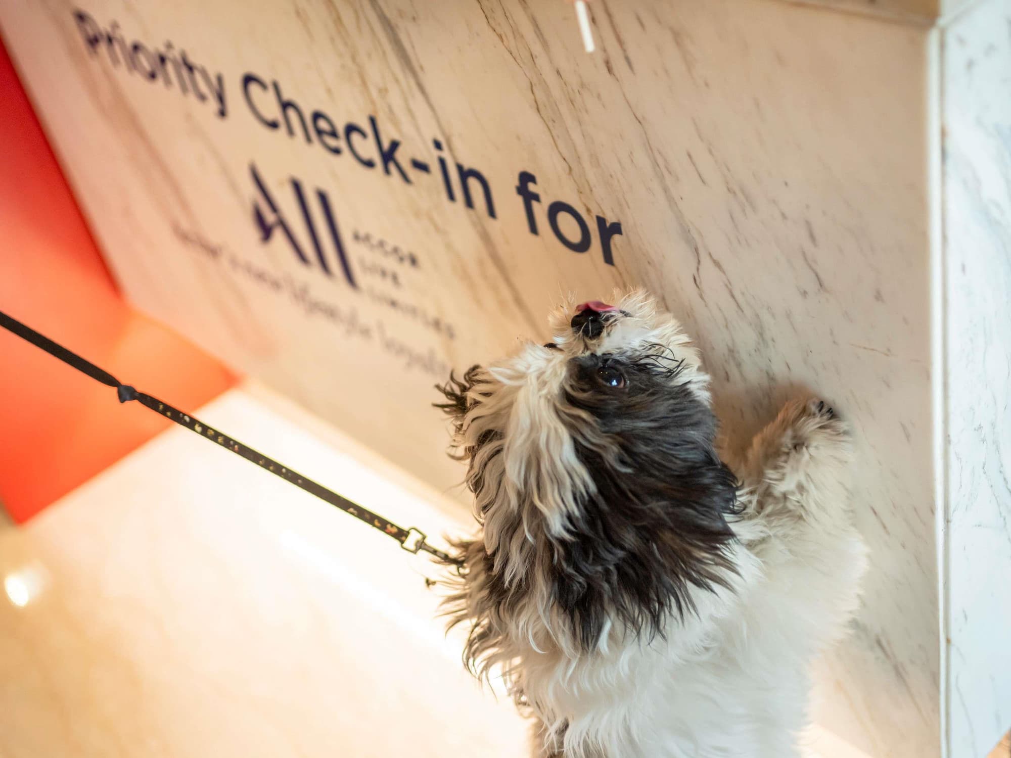 ibis New Delhi Aerocity, General view