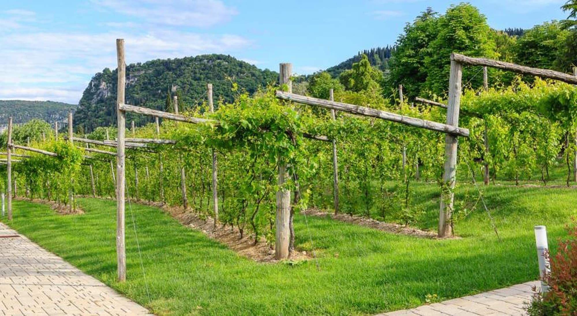 Parc Hotel Germano Suites & Apartments, General view