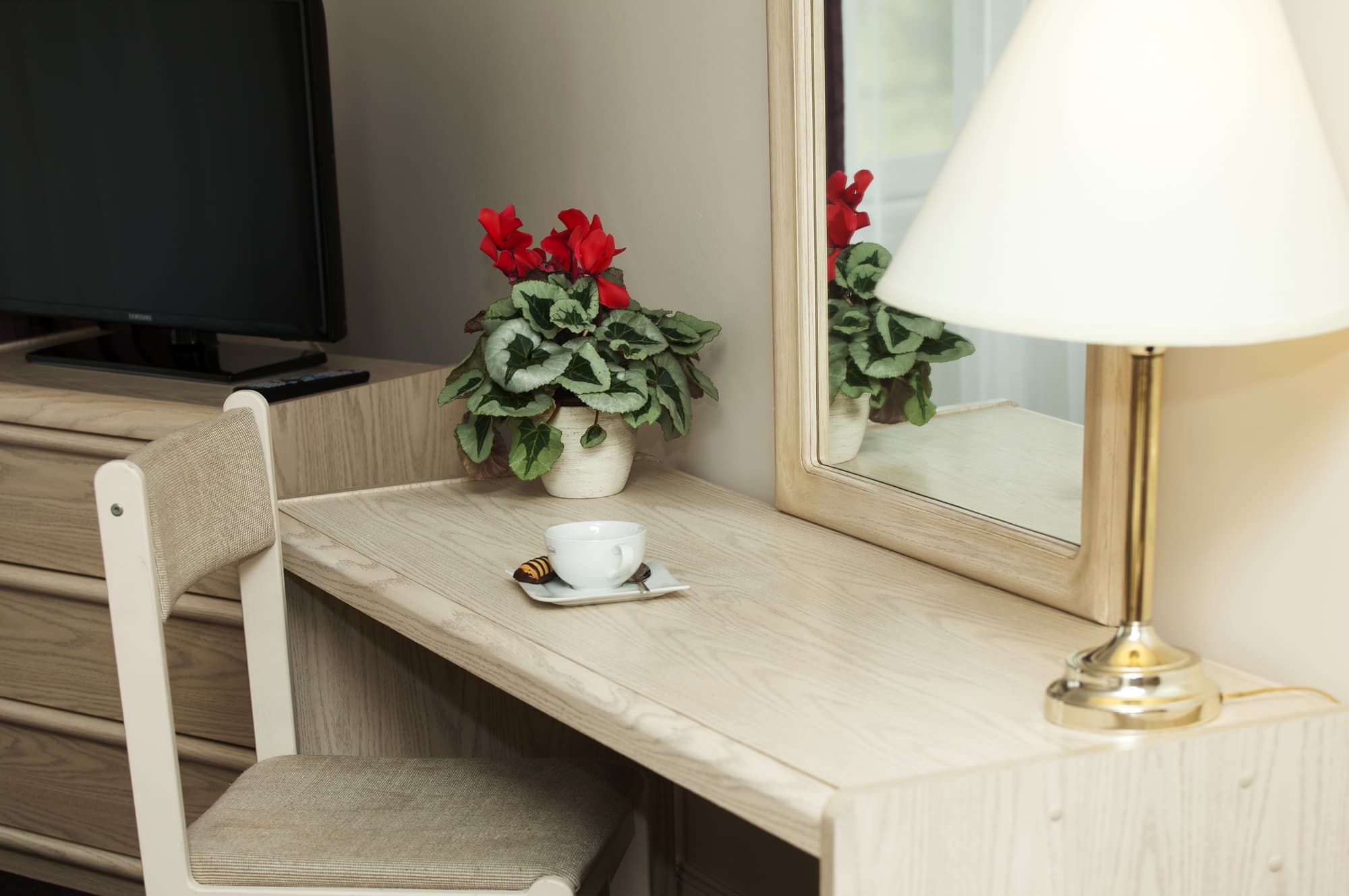 Airport Hotel Mara, General view