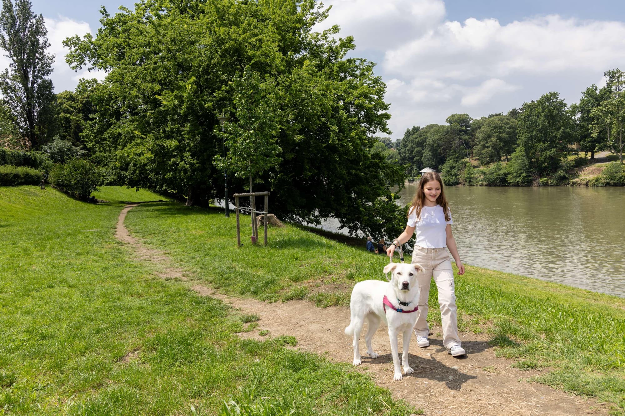 Best Western Hotel Crimea, General view