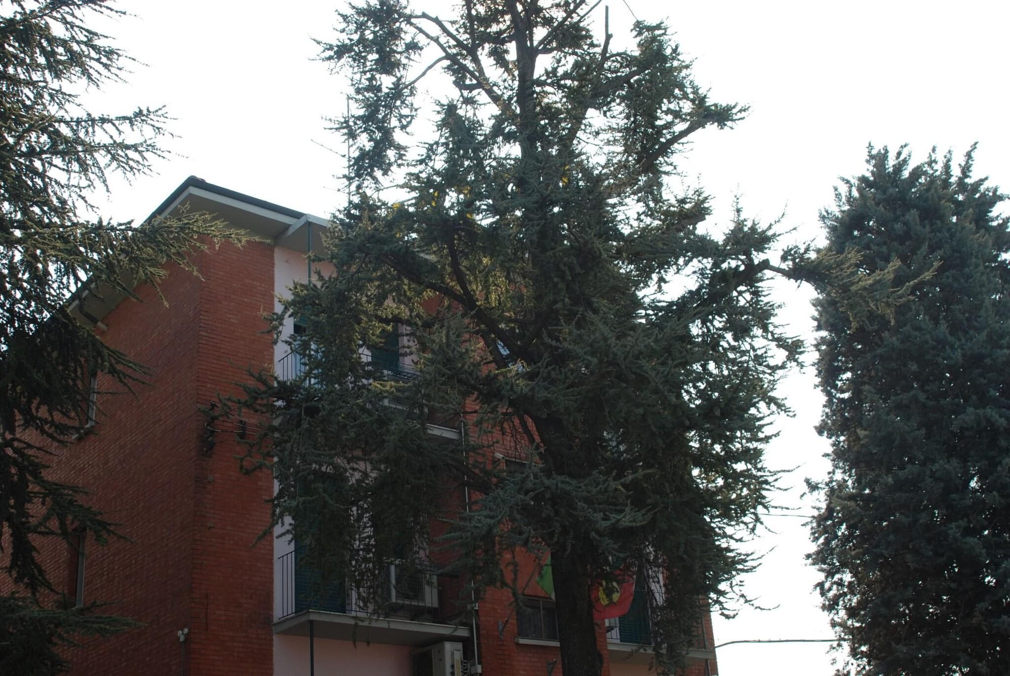 Hotel Tuscolano, General view