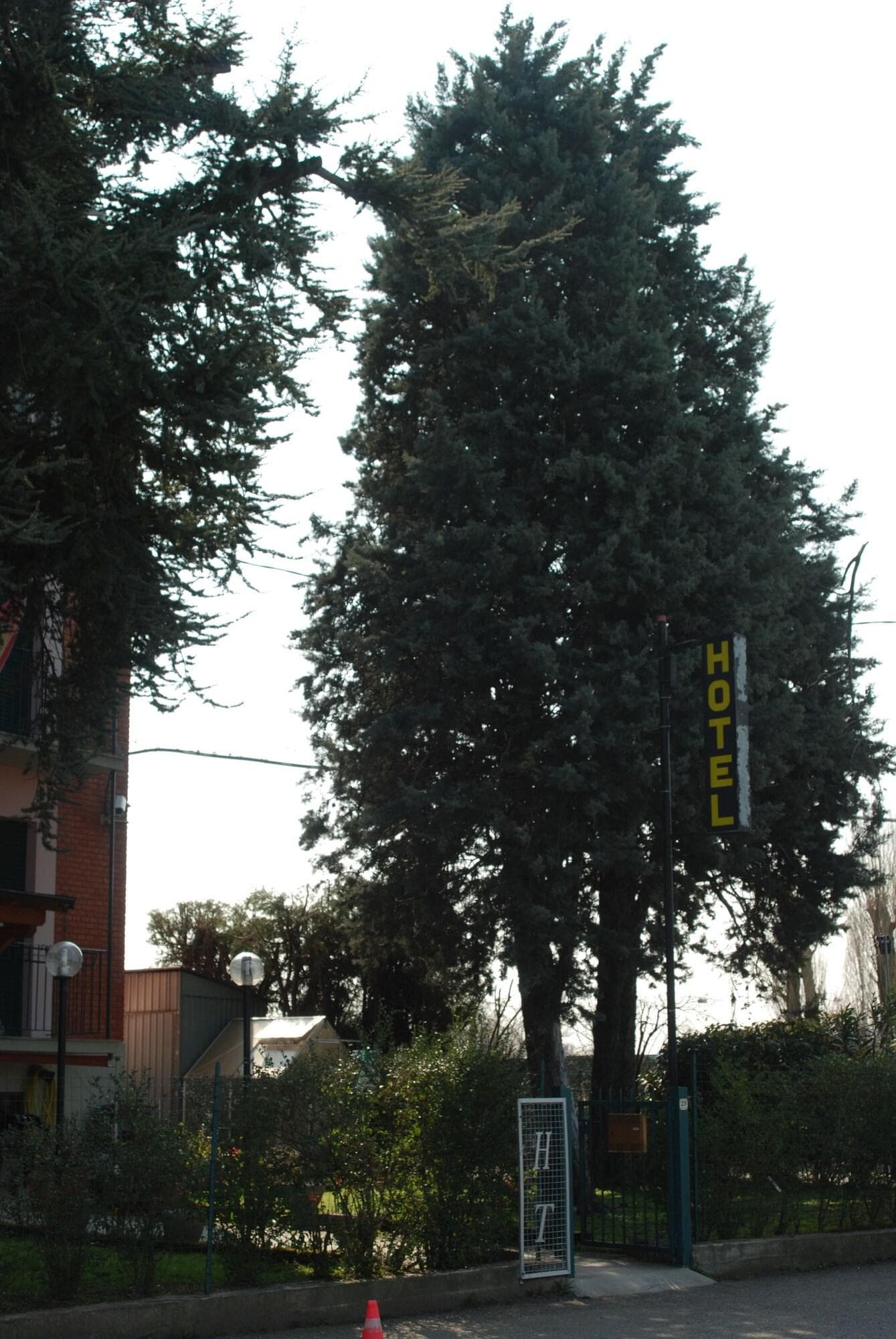 Hotel Tuscolano, General view