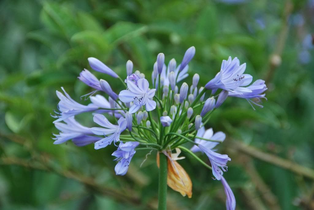 Hotel Andalucia, General view