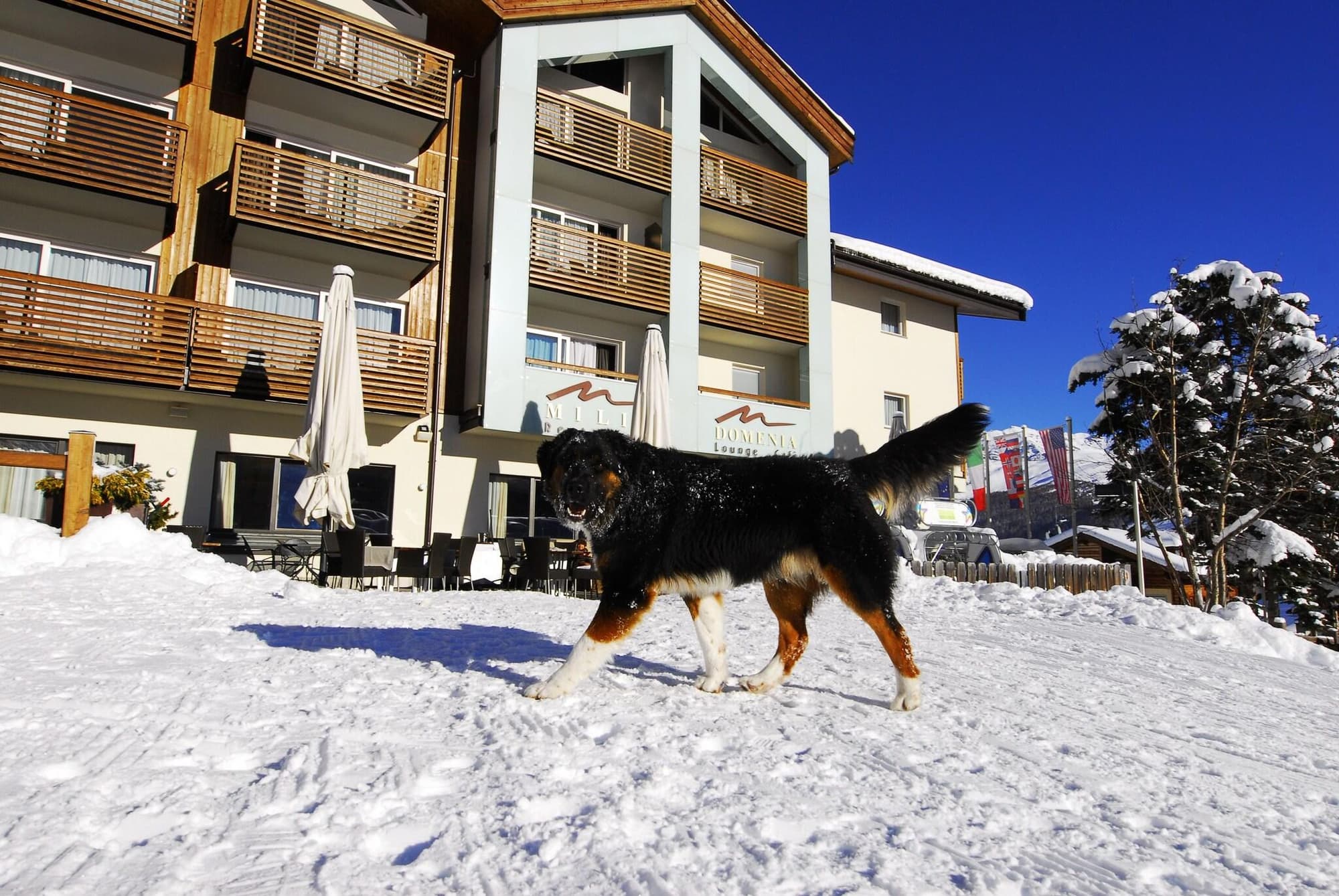 Lac Salin Spa & Mountain Resort, General view