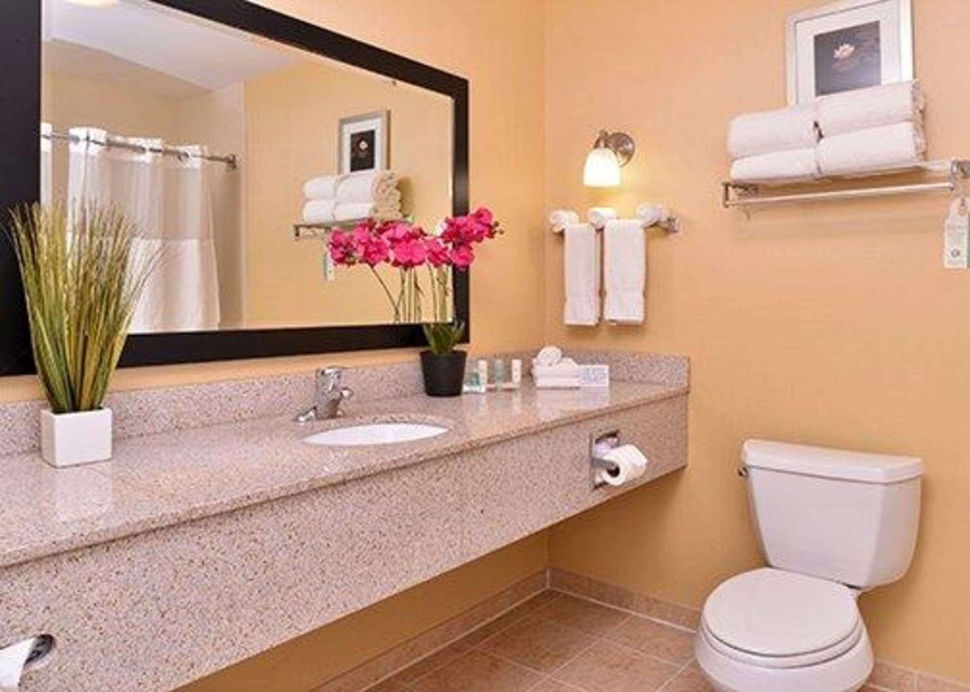 Comfort Suites Urbana Champaign, University Area, Room