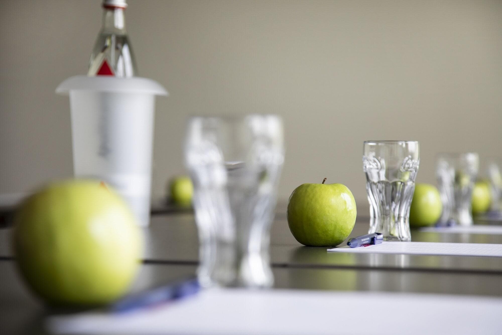 Rheinhotel Rheingarten, Conferences