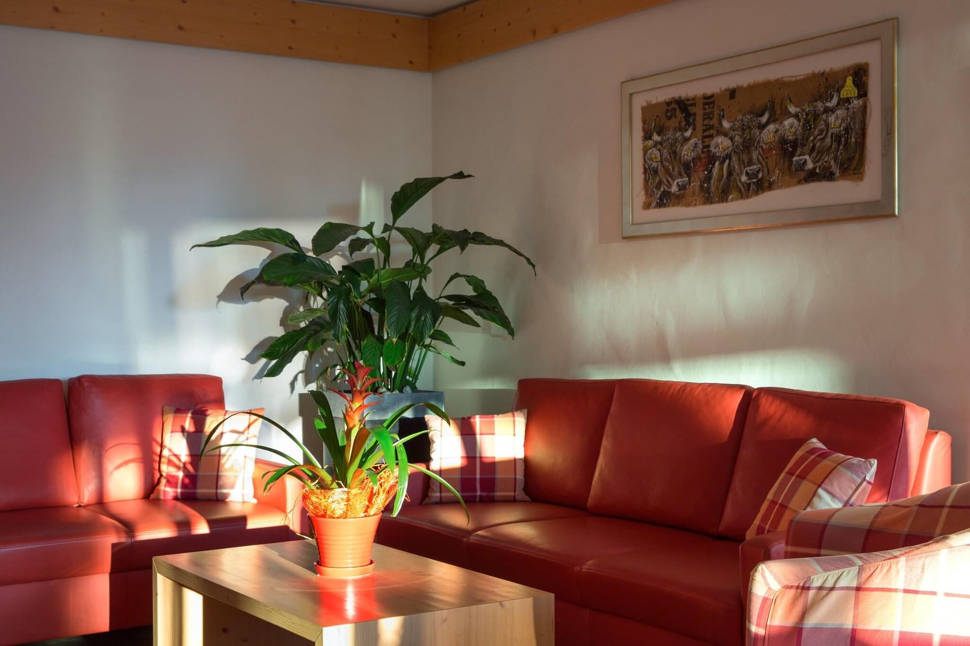 Helvetia Intergolf - Hotel & Apparthotel, Sports and Entertainment