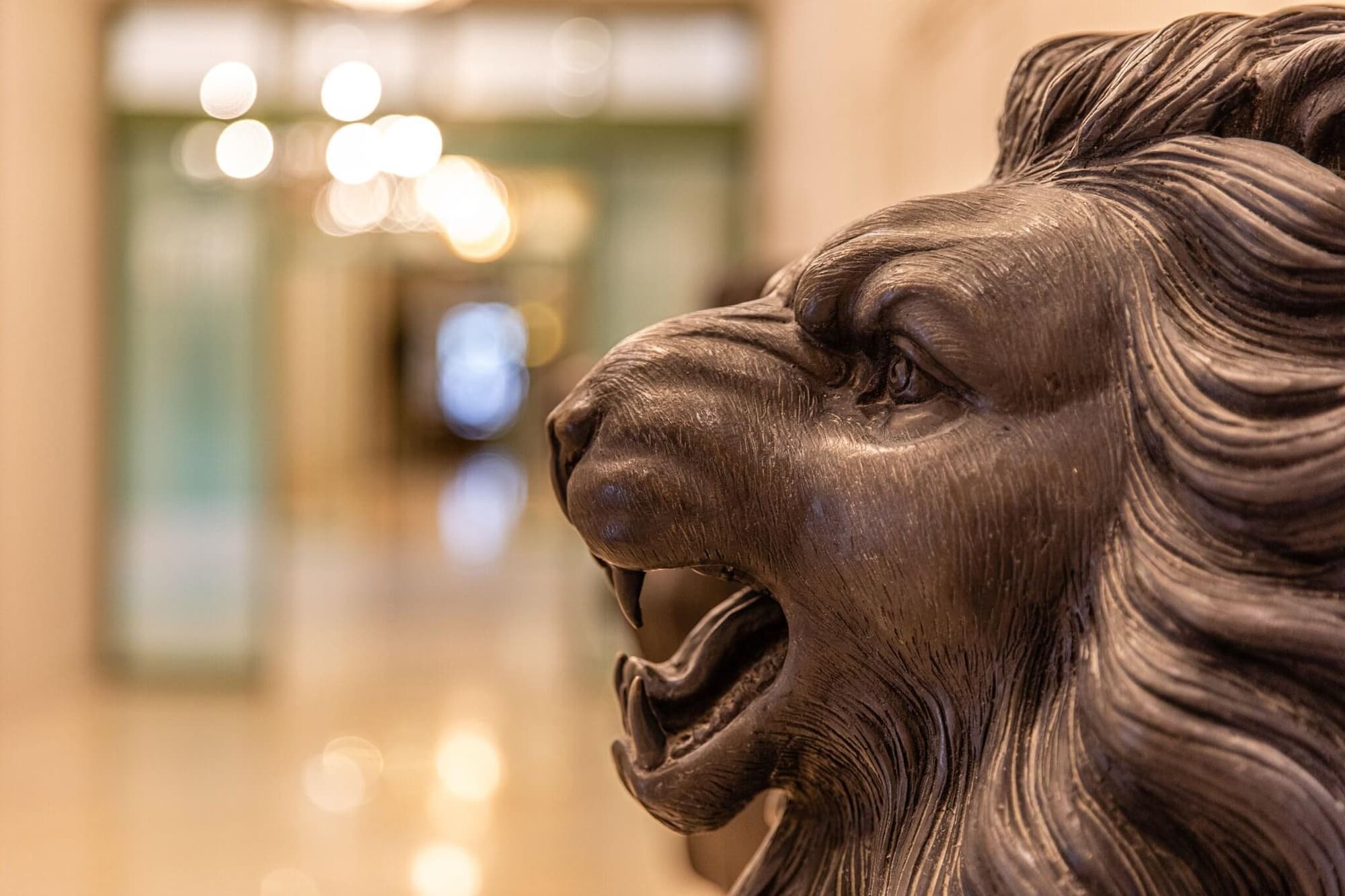 Acropole Tunis, Lobby