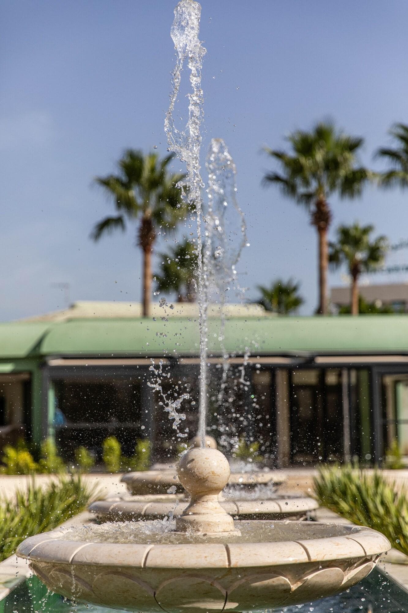 Acropole Tunis, Terrace