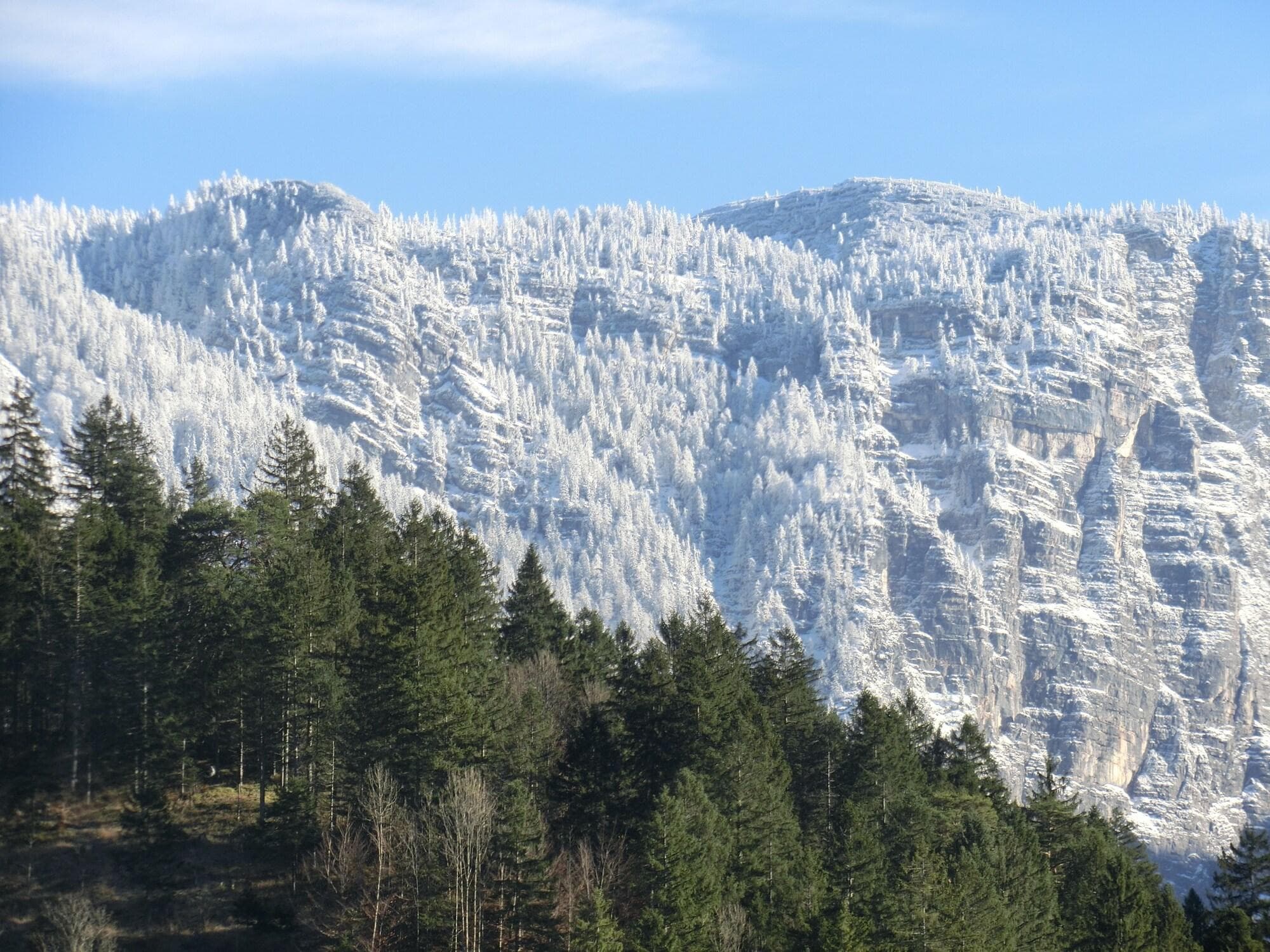 Hotel Haus Am See, Room