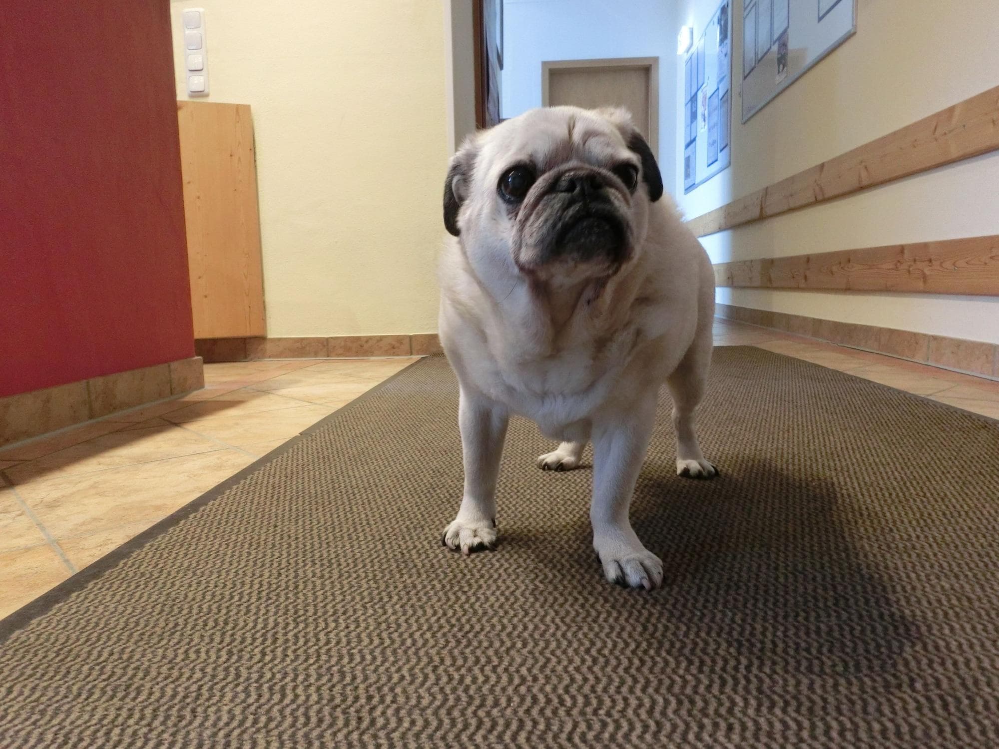 Hotel Haus Am See, Room