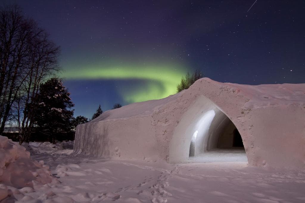 Arctic Snow, General view