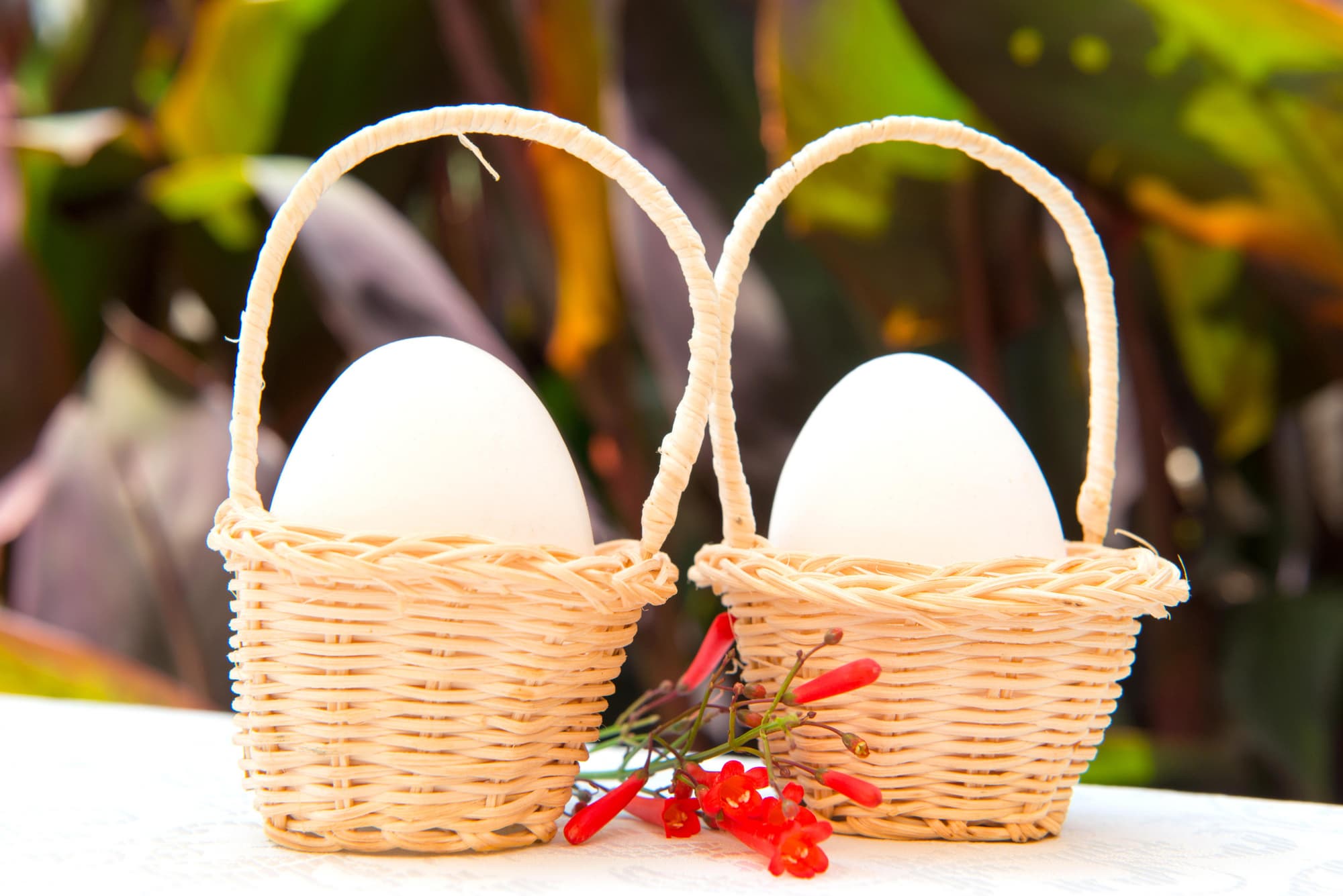 Alacati Kostem Hotel, Terrace