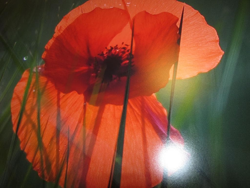 Palacio de Asturias, General view