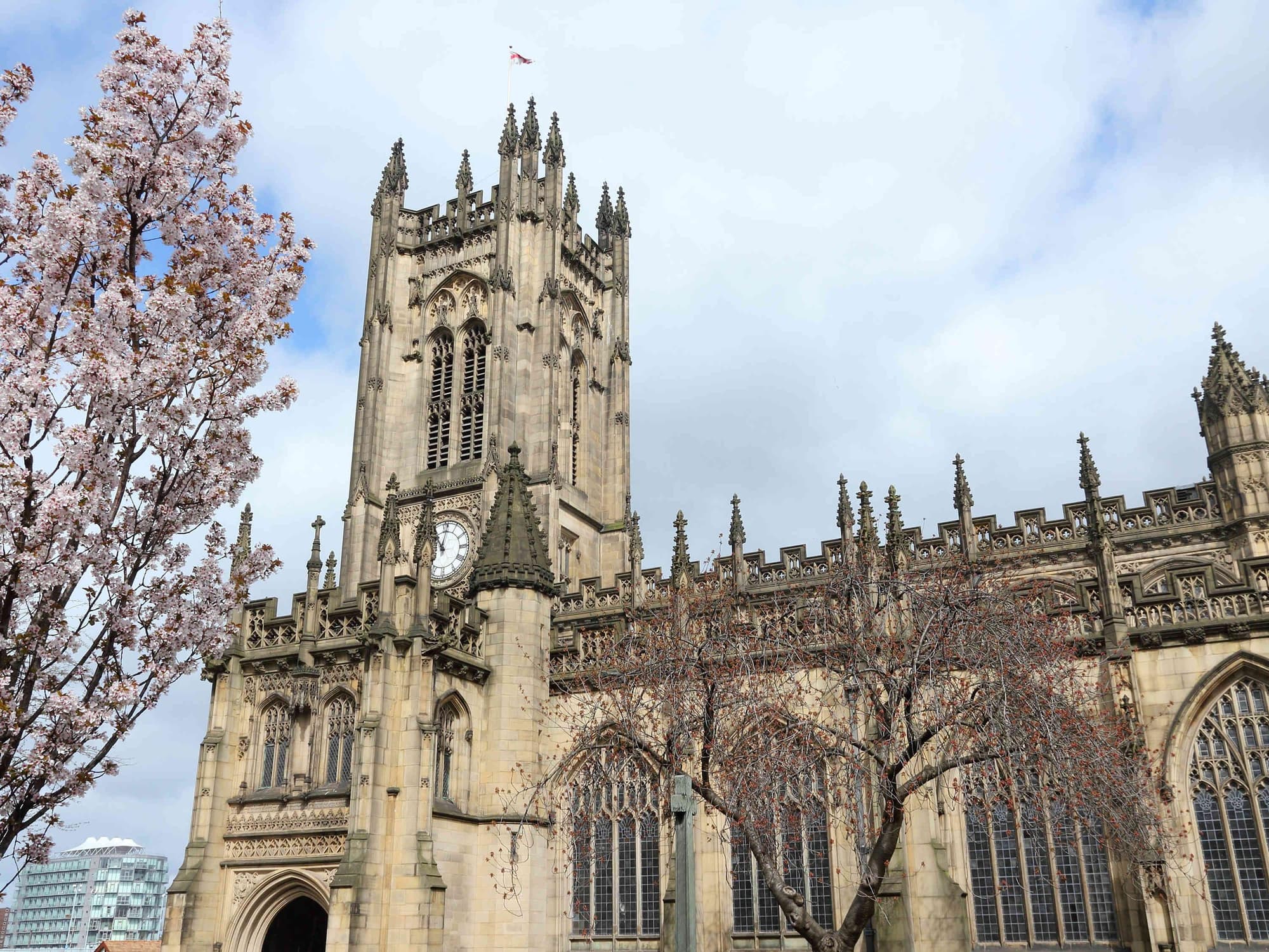 Ibis Manchester Portland St, General view