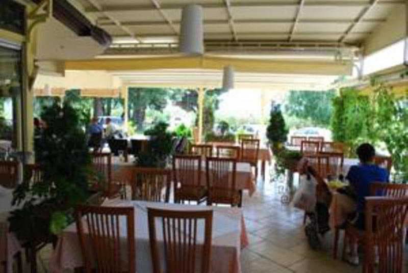 Millenium Palace, Terrace