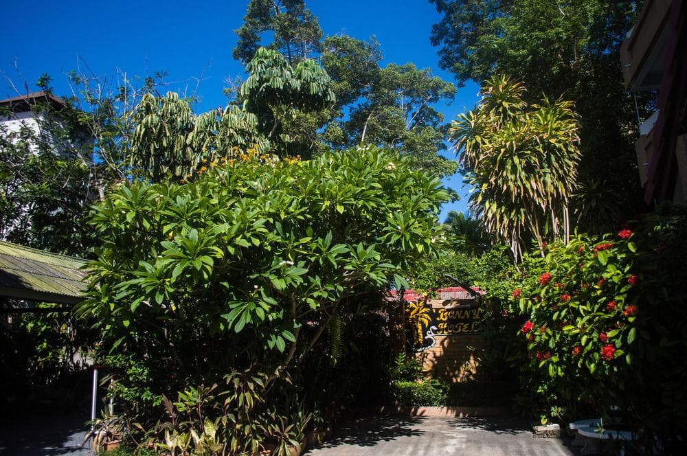 Bonny Hotel, General view