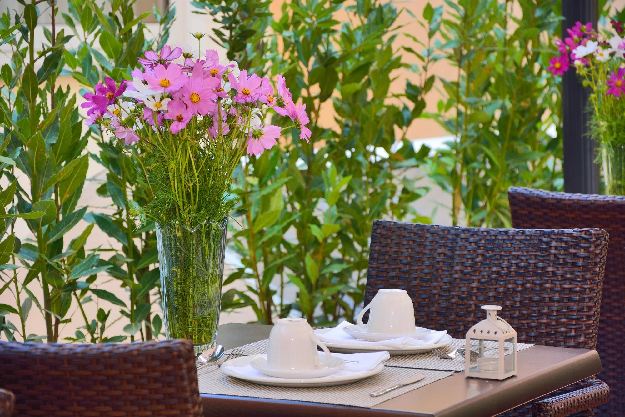 LH Hotel Lloyd Roma, Terrace