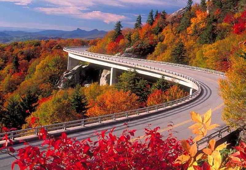 Courtyard Boone, General view