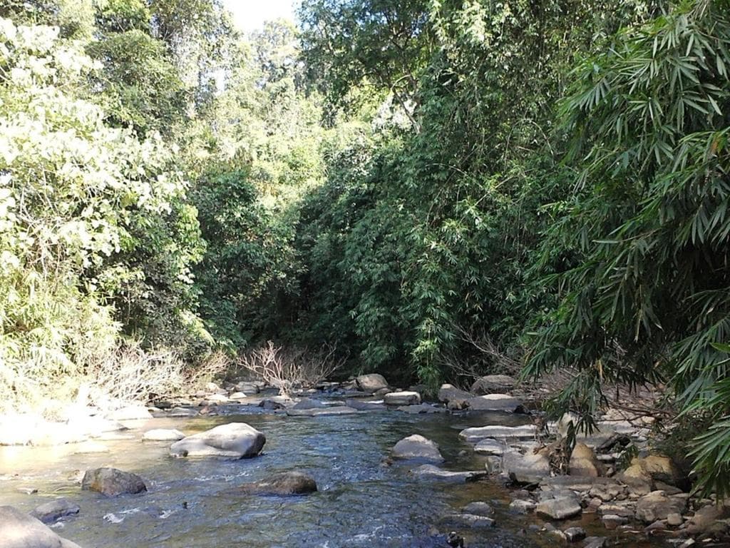 Memoria Palace & Resort, General view