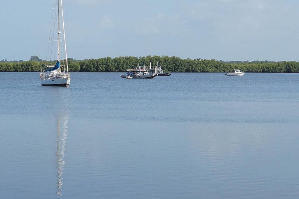 Lemon Creek, General view