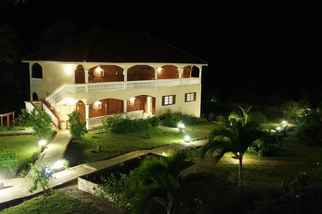 Lemon Creek, General view