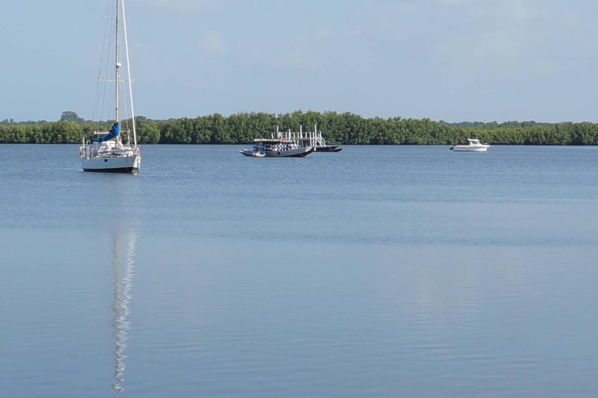 Lemon Creek, General view