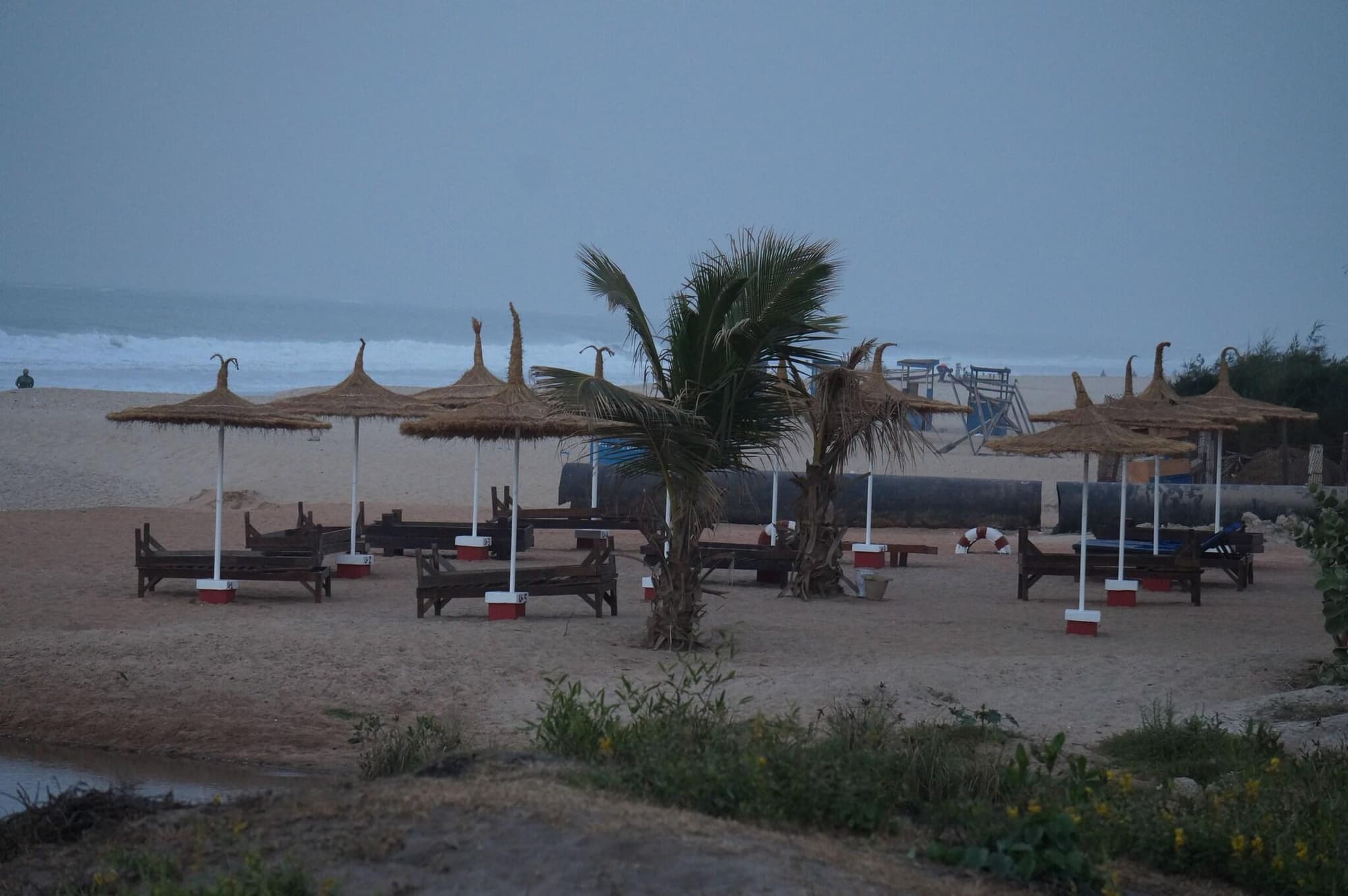 Lemon Creek, General view