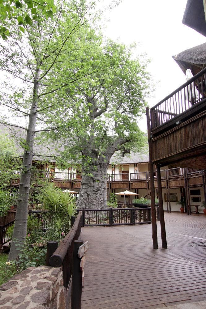 Cresta Mowana Safari Lodge, General view