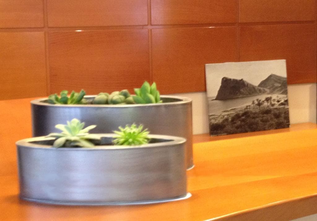 Teremar, General view