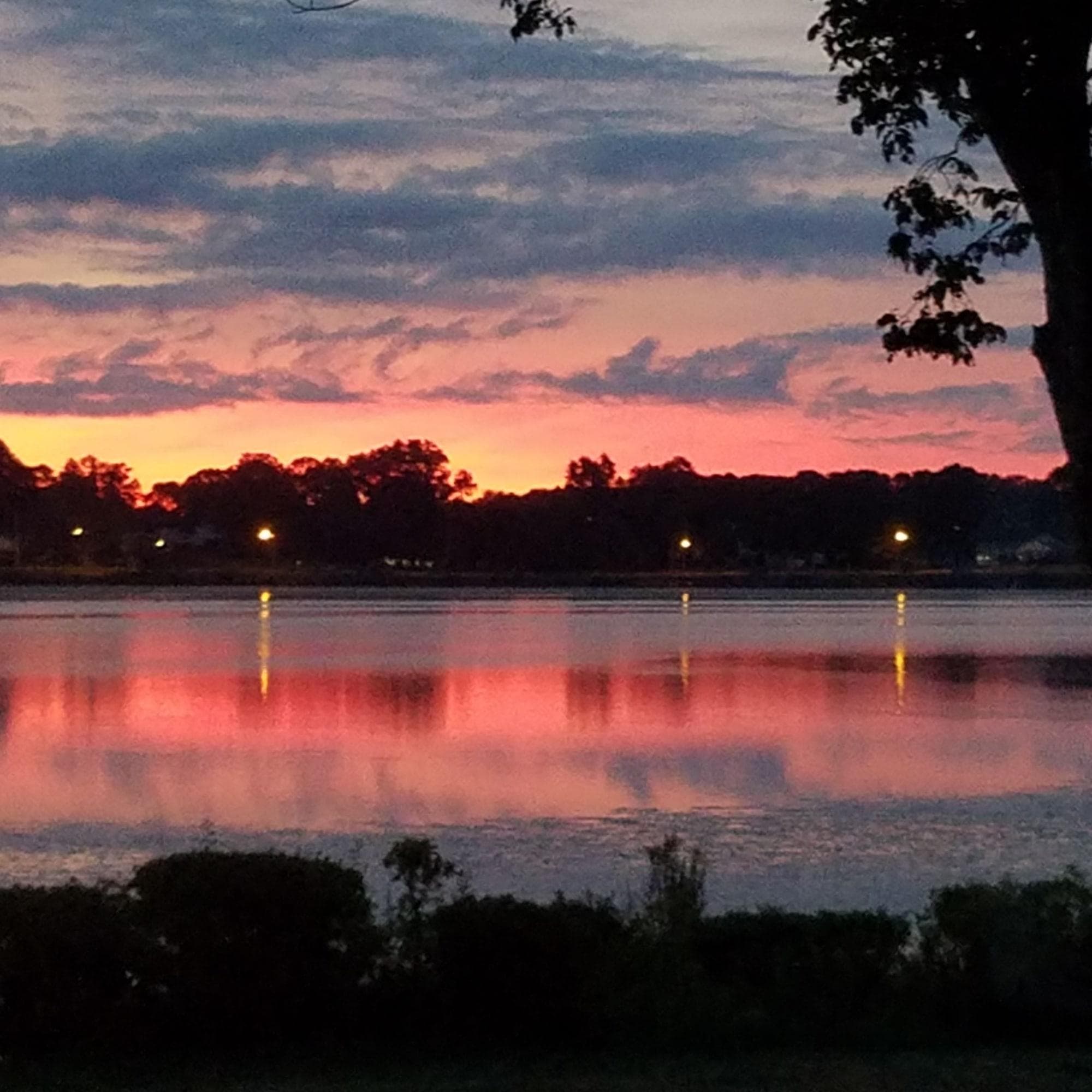 The Lakeside Inn, General view
