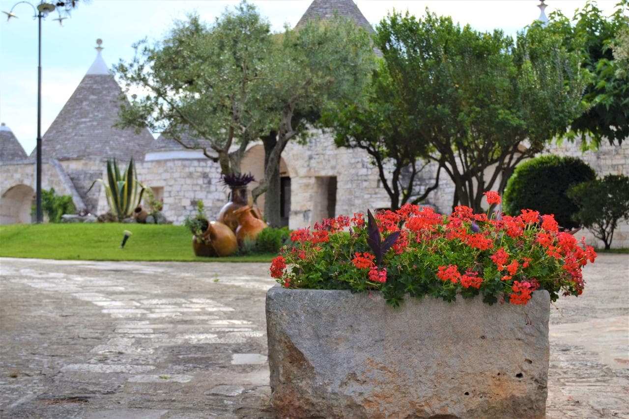 Il Palmento, General view