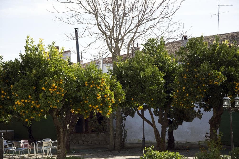 Hostal San Miguel, General view