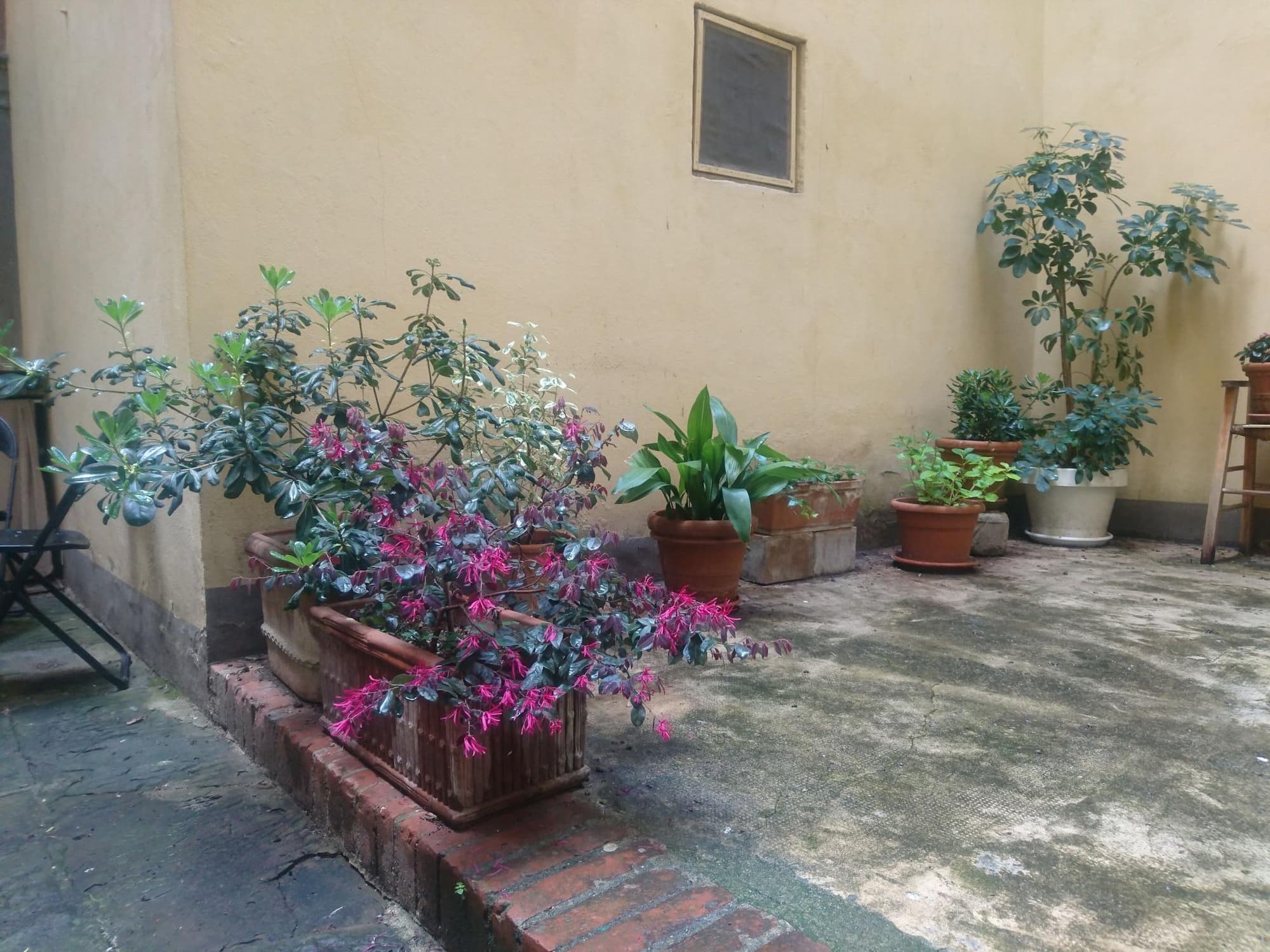 Il Pitti Soggiorno, General view