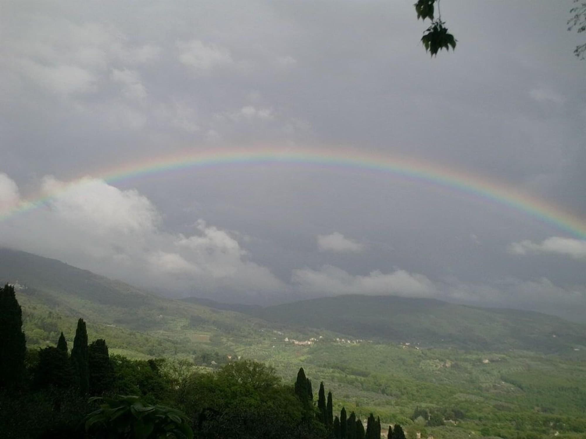 Il Trebbiolo, General view