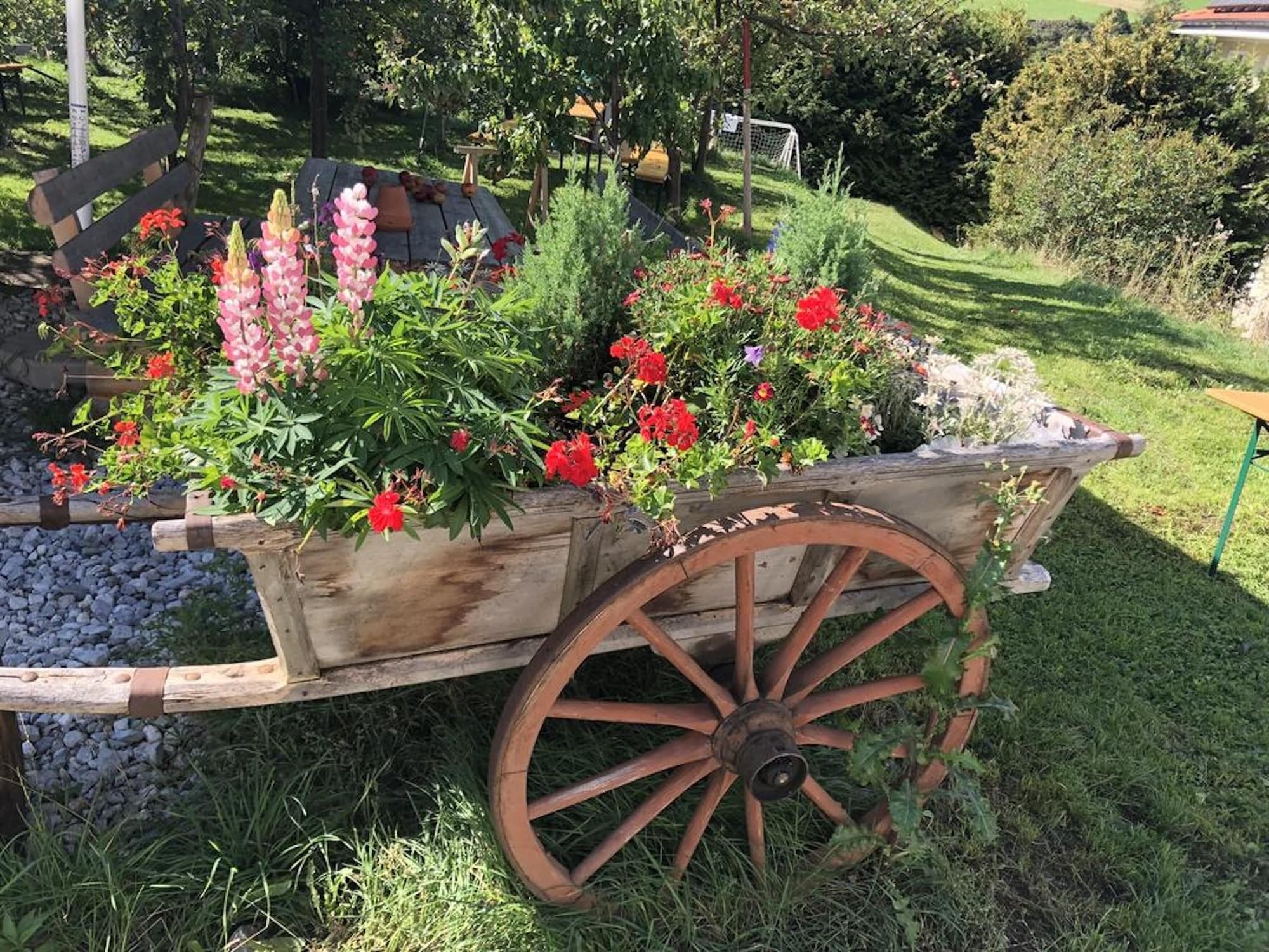 Wilder Mann, General view