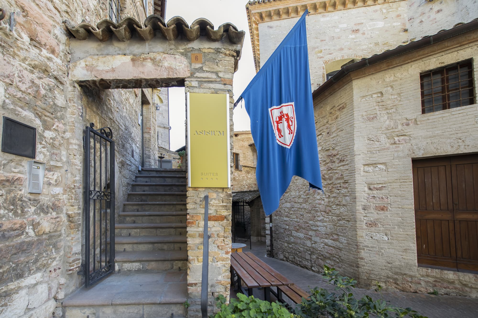 Alexander, General view