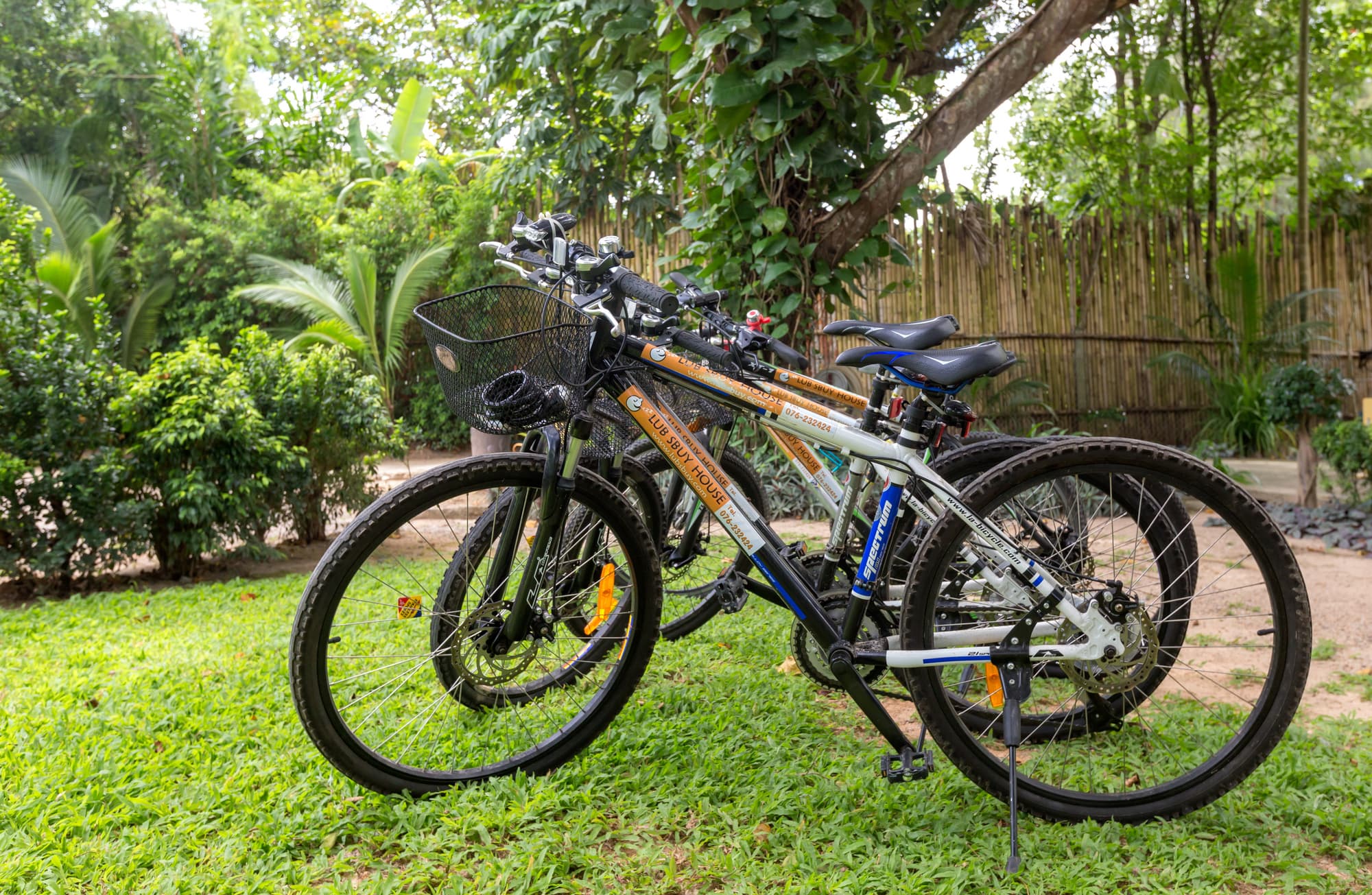 Baan Panwa Resort & Spa, Sports and Entertainment