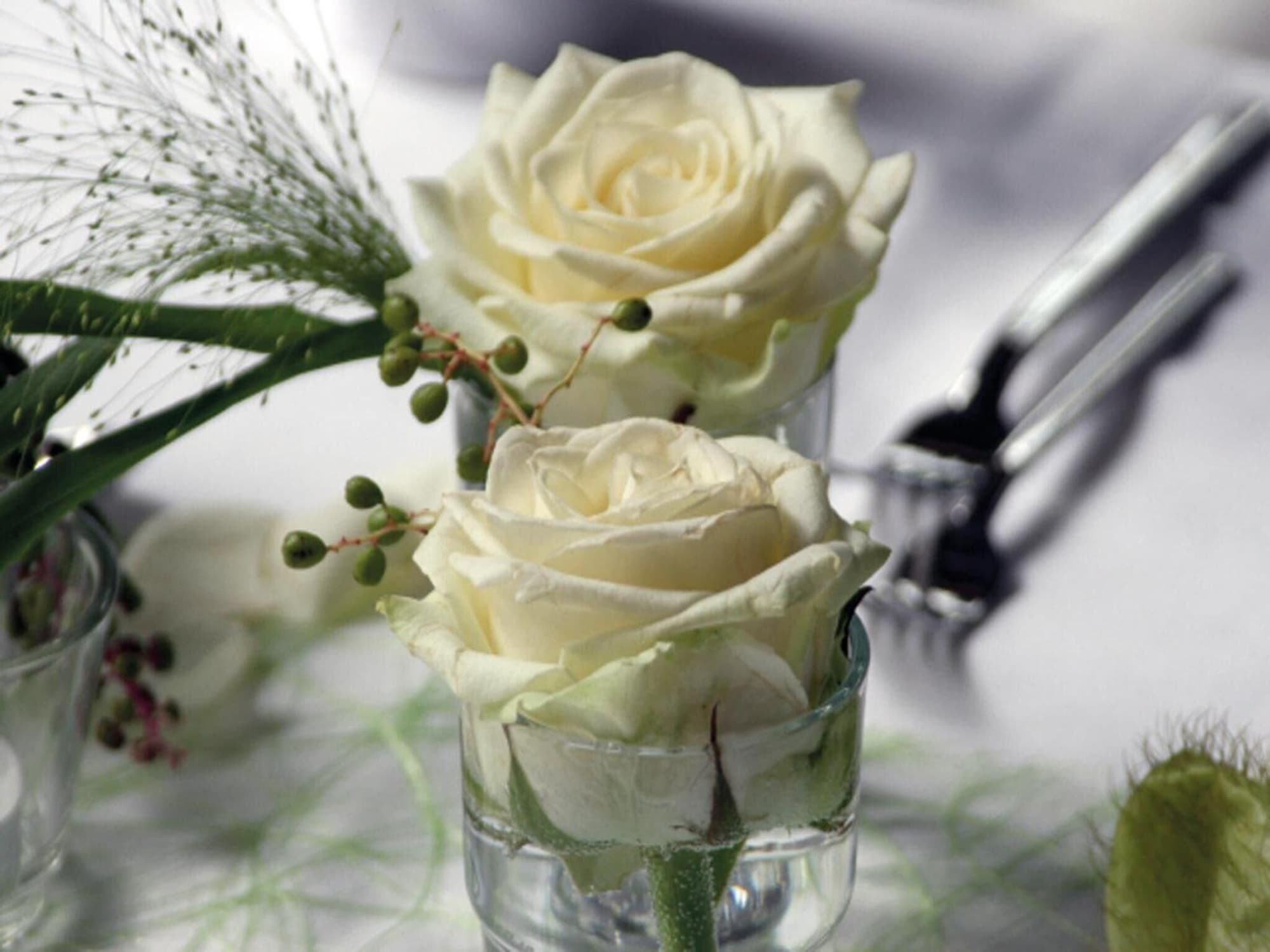 Landgasthof Bogner, General view