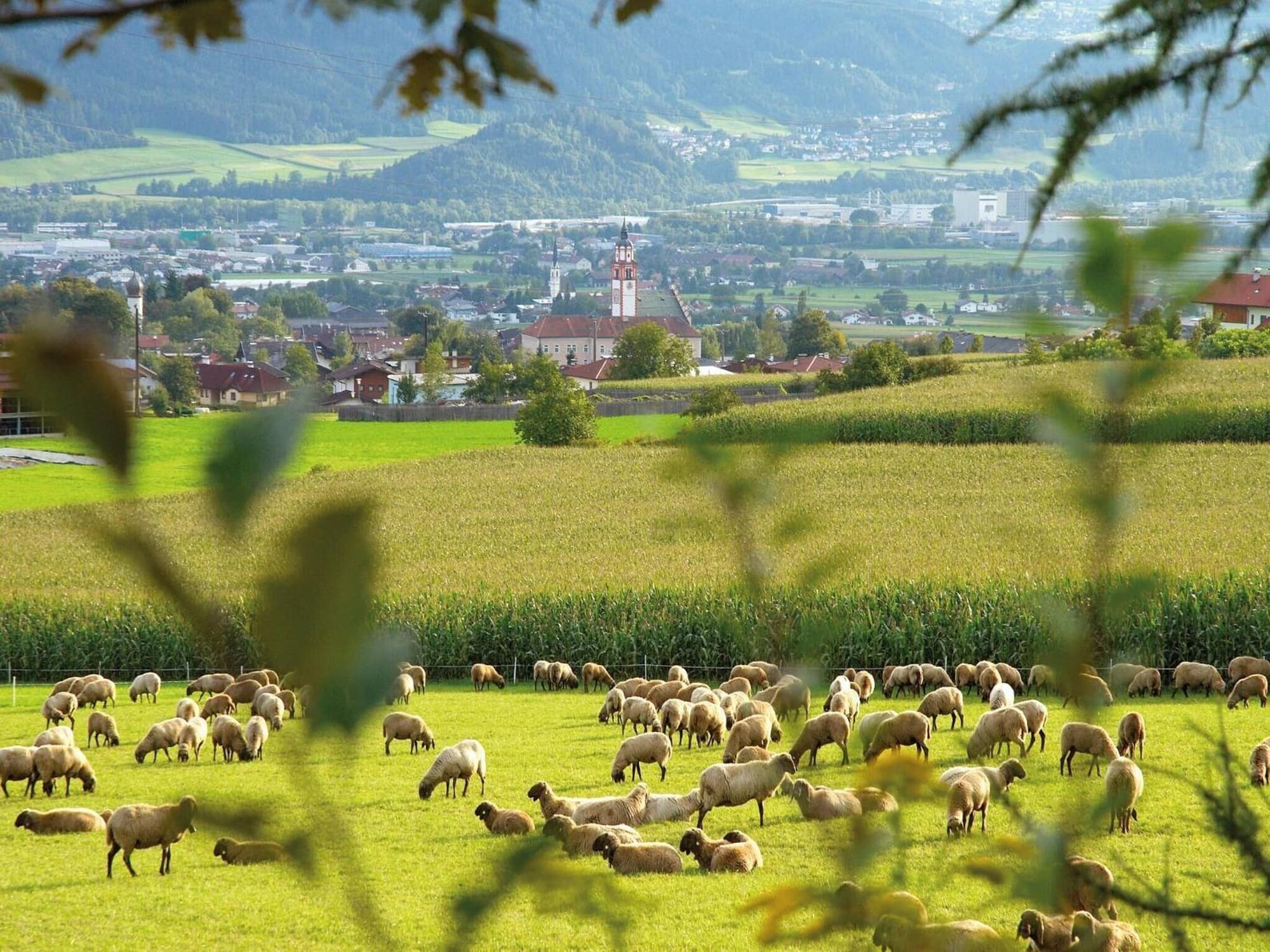 Landgasthof Bogner, General view
