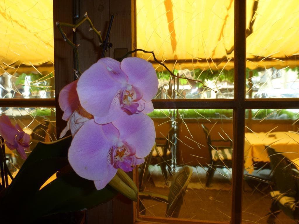 Post Hardermannli, General view