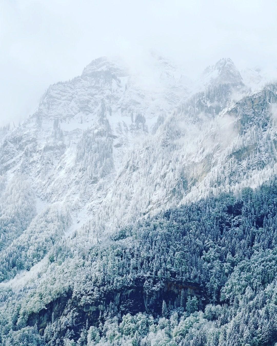 Alpenrose Hotel & Garden, Room